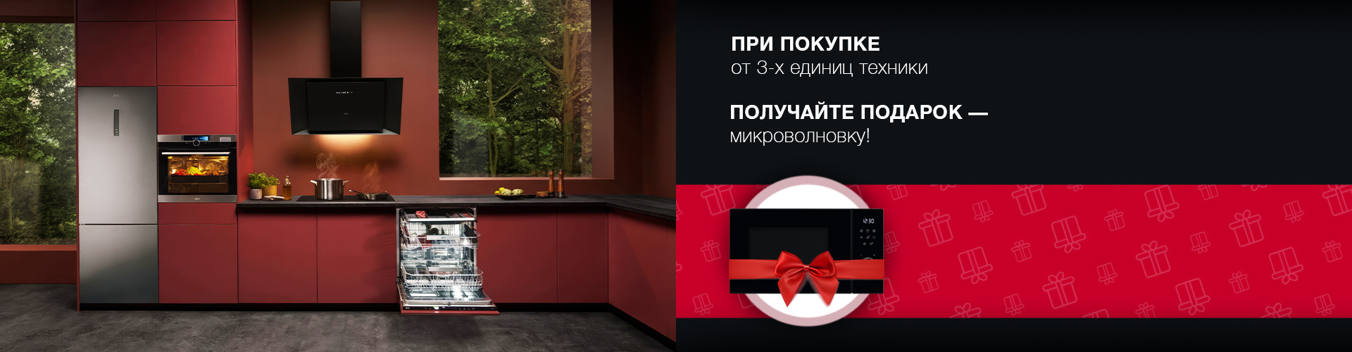 ru_Banner_Main_AEG_46