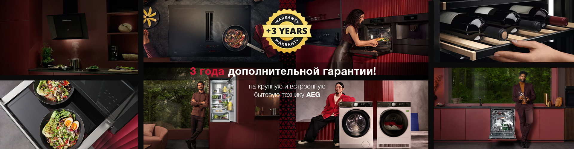 ru_Banner_Main_AEG_32